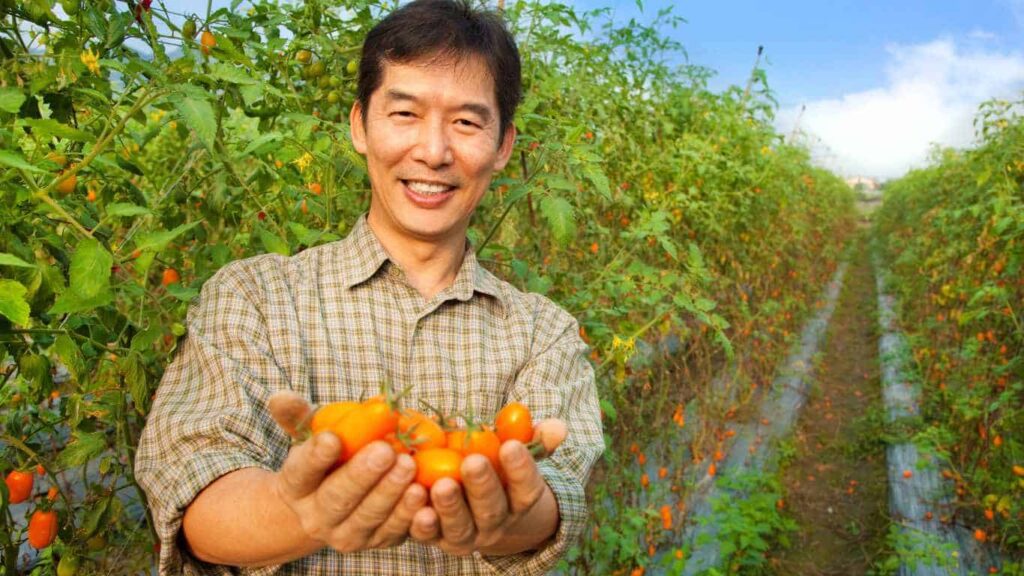 Support-Local-Farming-Singapore - ABM CREDITZ - Chinatown Money Lender