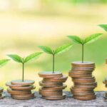 Eco-Friendly Living in Singapore: How to Save Money and the Planet