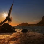 Tips To Avoid Bankruptcy